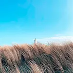Beleef Strandhuisje