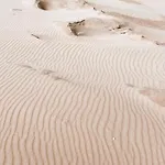 Appartement Beleef Strandhuisje