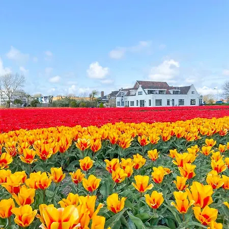 Beleef Strandhuisje Appartement *