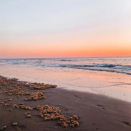 Апартаменты Beleef Strandhuisje *