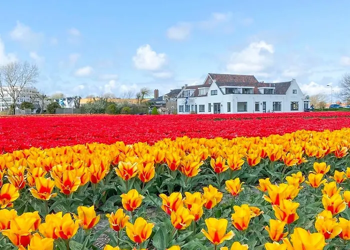 Beleef Strandhuisje דירה *