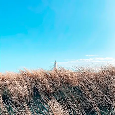 Beleef Strandhuisje