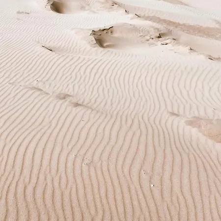 דירה Beleef Strandhuisje